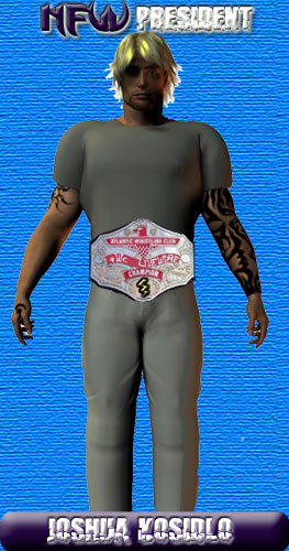 File:Paladin nfw full.jpg