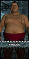 Thumbnail for version as of 10:14, 19 November 2007
